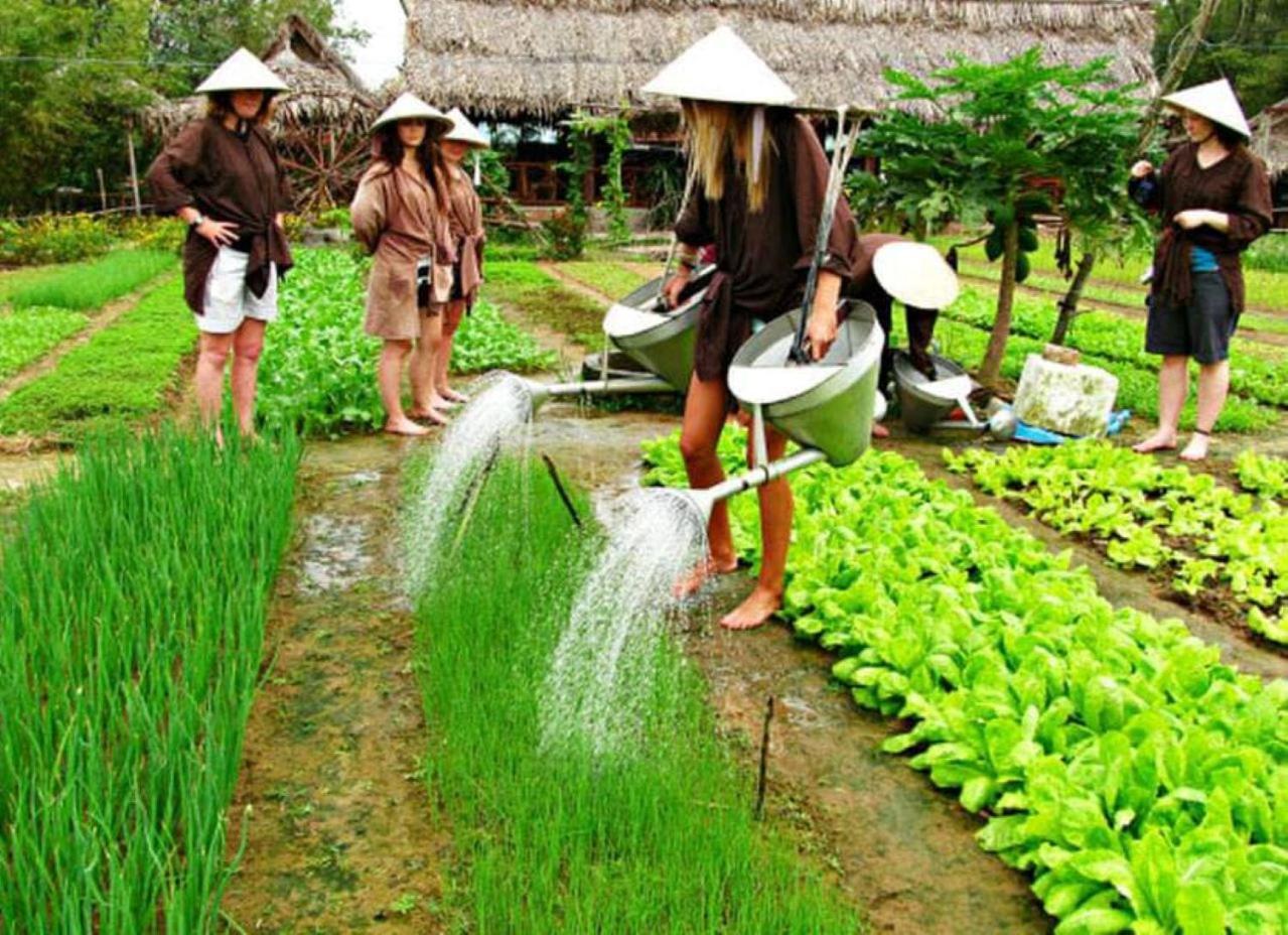 La Gai Homestay Hoi An Bagian luar foto